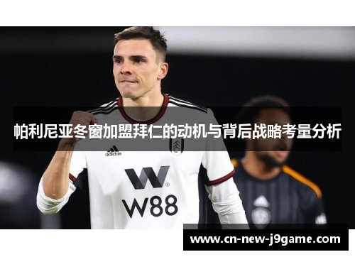帕利尼亚冬窗加盟拜仁的动机与背后战略考量分析 帕利尼亚冬窗加盟拜仁的动机与背后战略考量分析