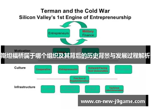 斯坦福桥属于哪个组织及其背后的历史背景与发展过程解析 斯坦福桥属于哪个组织及其背后的历史背景与发展过程解析