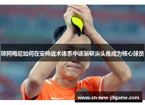 琼阿梅尼如何在安帅战术体系中逐渐崭露头角成为核心球员 琼阿梅尼如何在安帅战术体系中逐渐崭露头角成为核心球员