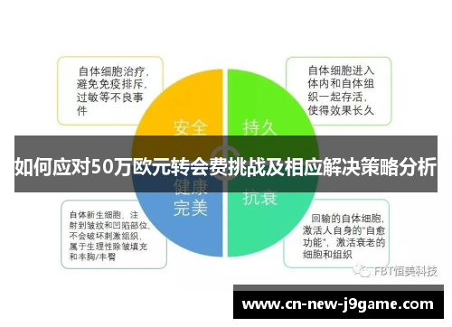 如何应对50万欧元转会费挑战及相应解决策略分析 如何应对50万欧元转会费挑战及相应解决策略分析
