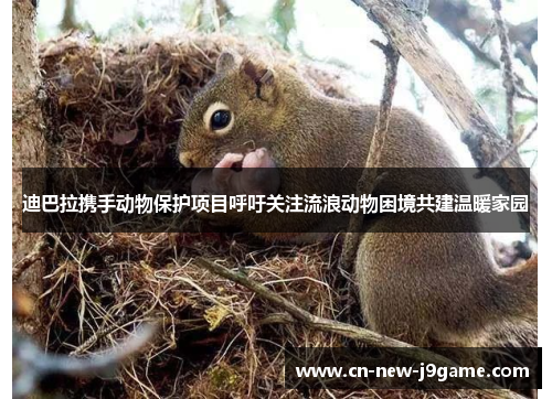 迪巴拉携手动物保护项目呼吁关注流浪动物困境共建温暖家园 迪巴拉携手动物保护项目呼吁关注流浪动物困境共建温暖家园