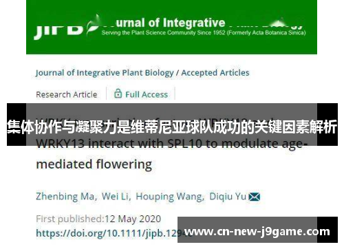 集体协作与凝聚力是维蒂尼亚球队成功的关键因素解析 集体协作与凝聚力是维蒂尼亚球队成功的关键因素解析
